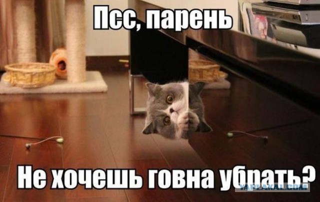 Весёлые картинки. Разбавим будни