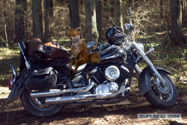 Москва - Владивосток. На чоппере в одиночку 2014.