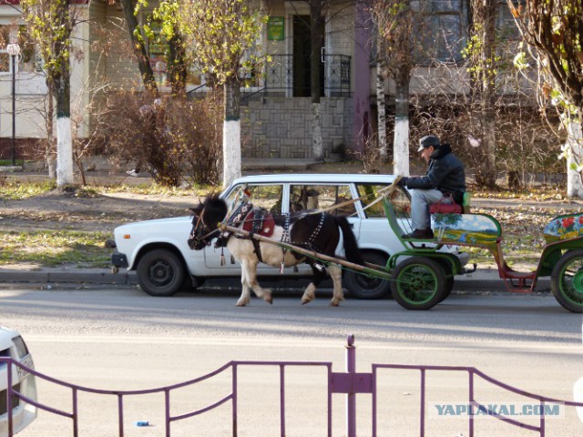 Ты воронежец, если...