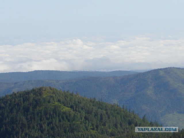 Дикая Хакасия