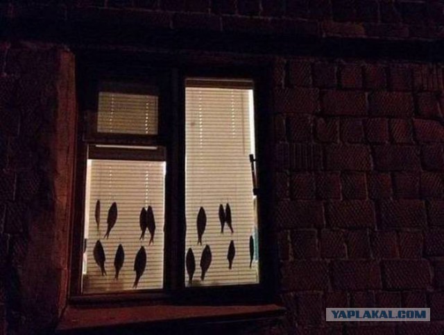 Подборка прикольных фото из сети