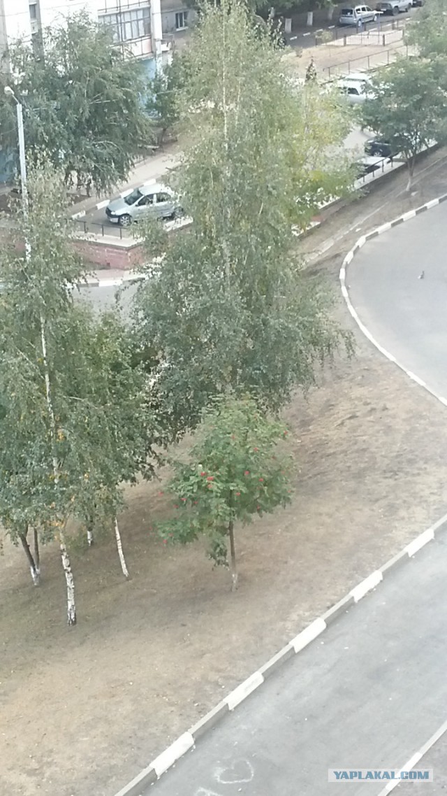 А что у вас за погода сейчас?