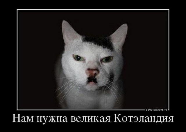 Коты, они - как люди!