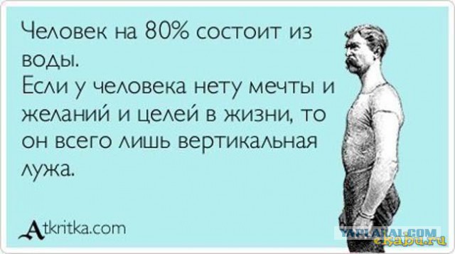 Бездельники возвращаются