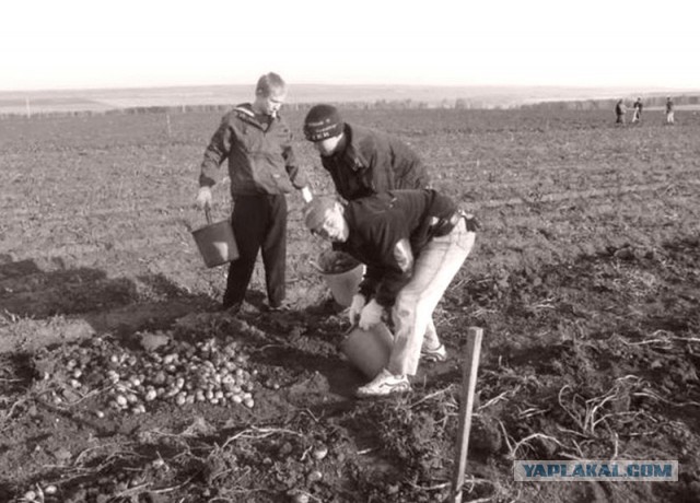 1975 год в СССР