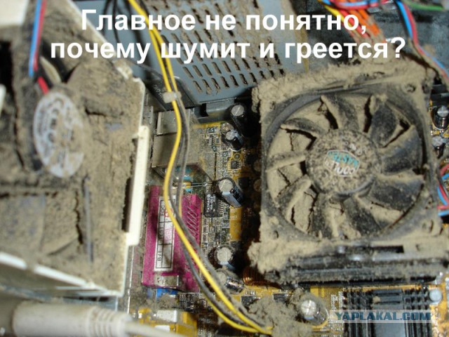 Про чудака и масляное охлаждение ПК