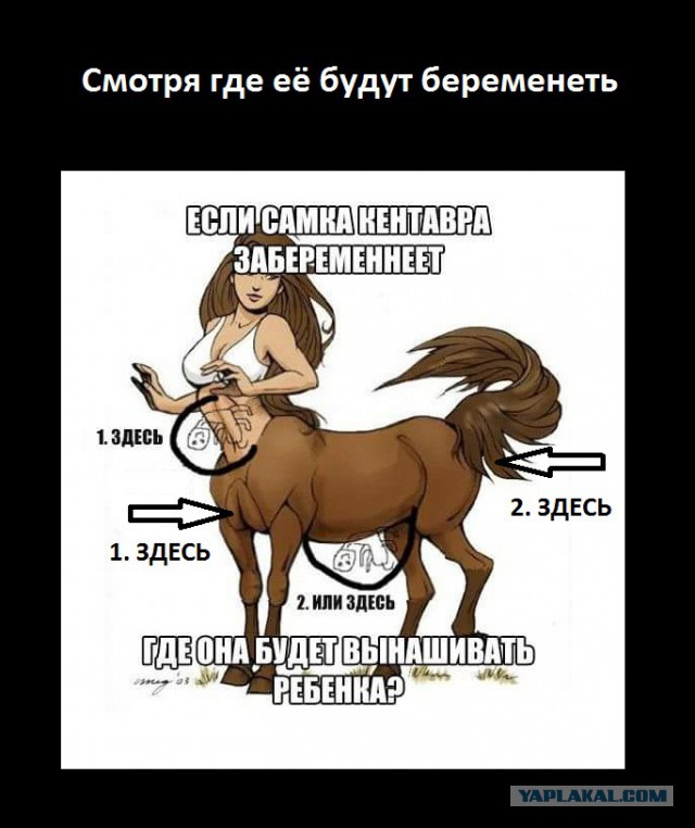 Если самка кентавра забеременеет