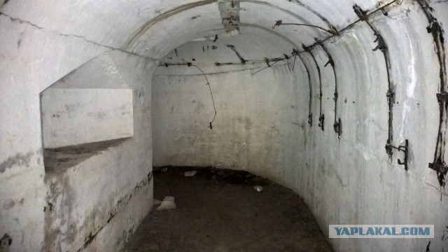 Каникулы во Владивостоке