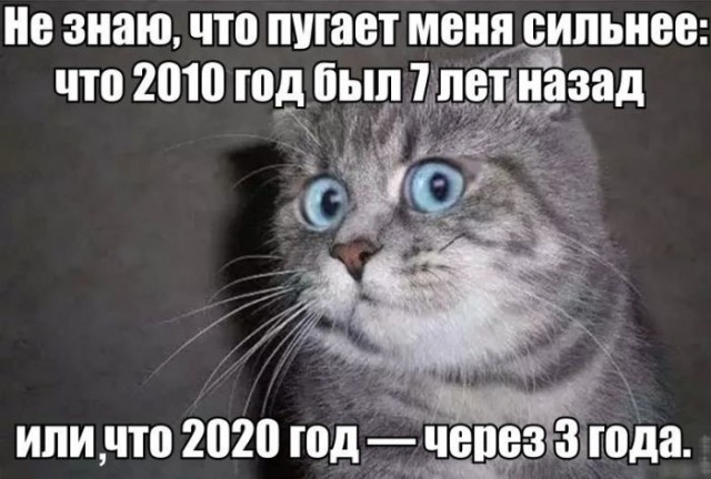 Прикольные картинки 06.07.2017