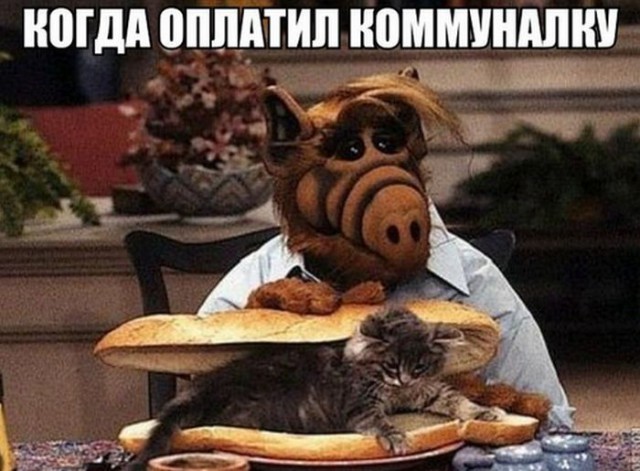150 картинки для поднятия настроения!