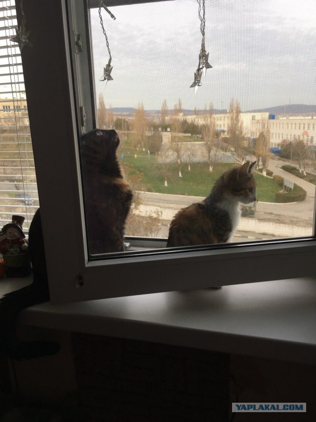 Шёл 10 день декабря...