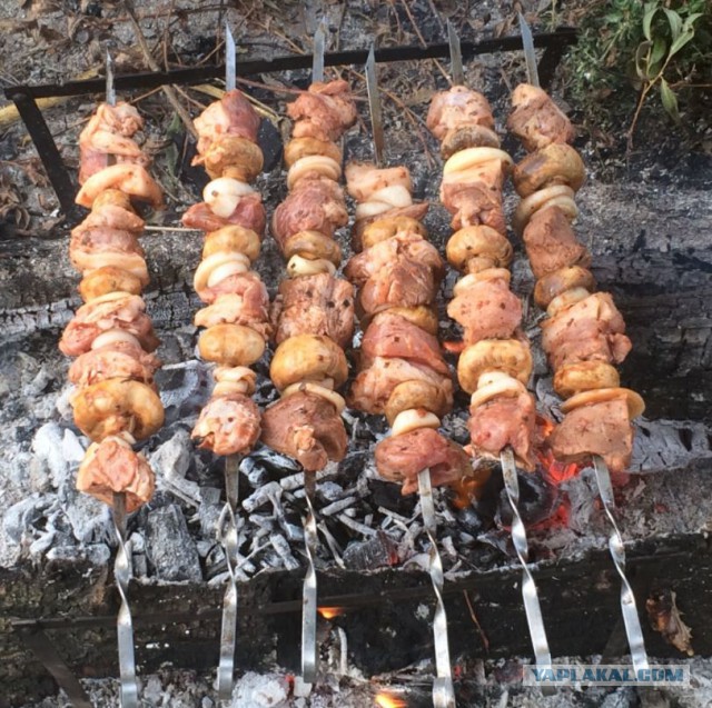 Шашлыки во дворе многоквартирного дома