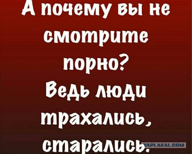 Смешные комментарии интернет-пользователей