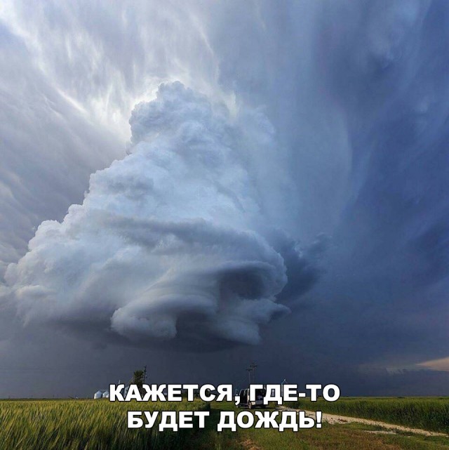 Прикольные картинки абавсём