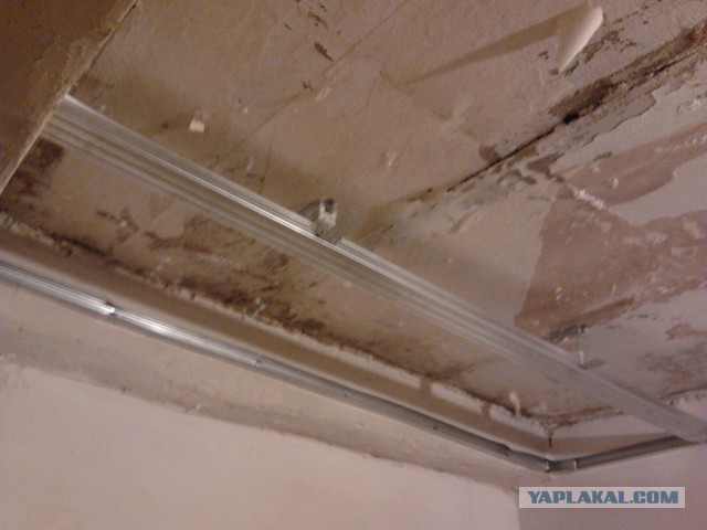 Как перестать жить на съемной квартире. Без кредитов и ипотеки