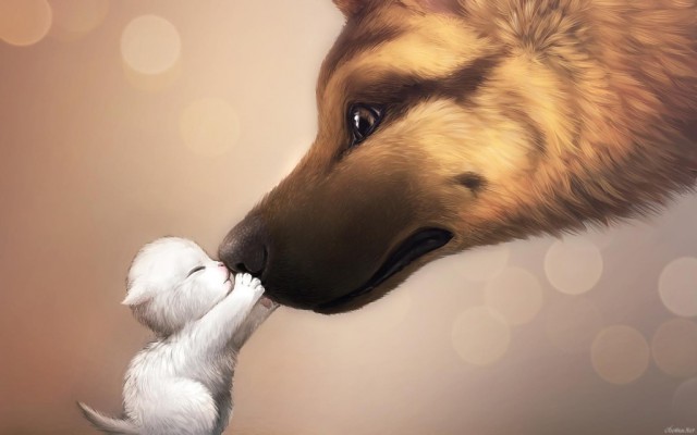 Кошки или собаки?