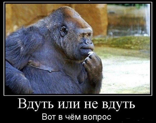 Девушку со спорной внешностью отказались признавать победительницей конкурса «Уральская невеста»