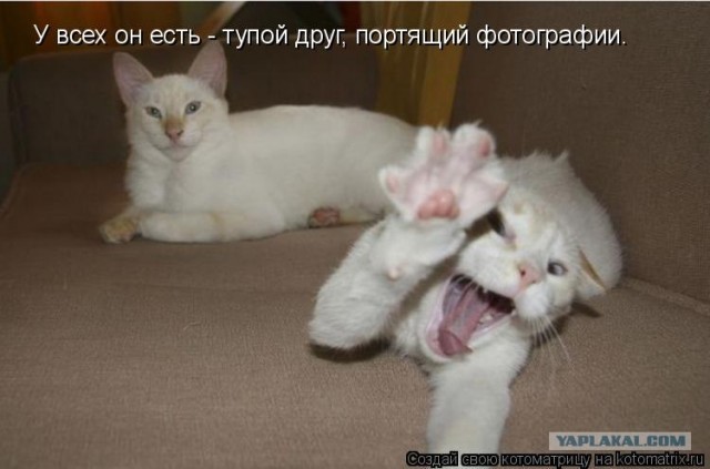 Серьезный и смешной