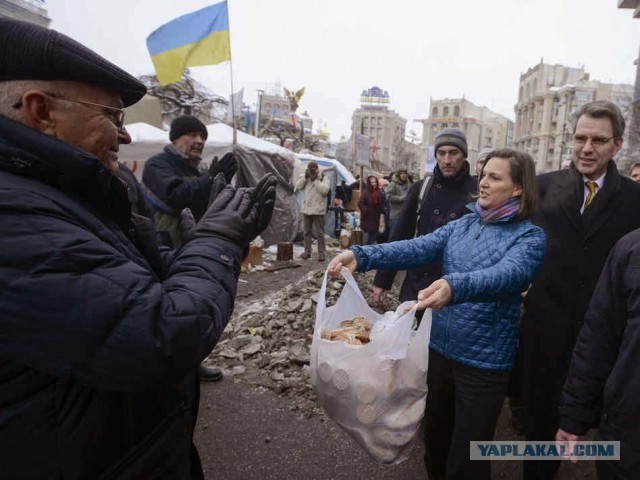 Совсем тупые? Американцы не понимают, что такое «несогласованный» митинг