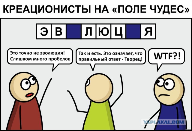 Протоиерей Смирнов назвал эволюционную теорию Дарвина совершенно ненаучной