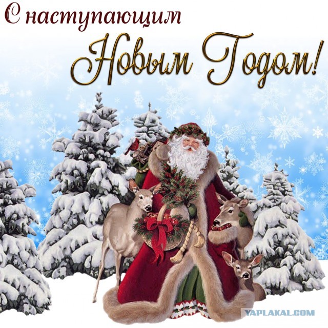 Дорогие ЯПовцы, неЯПОвцы, сочувствующие и просто читающие мимоходом - с наступающим 2020-м годом!
