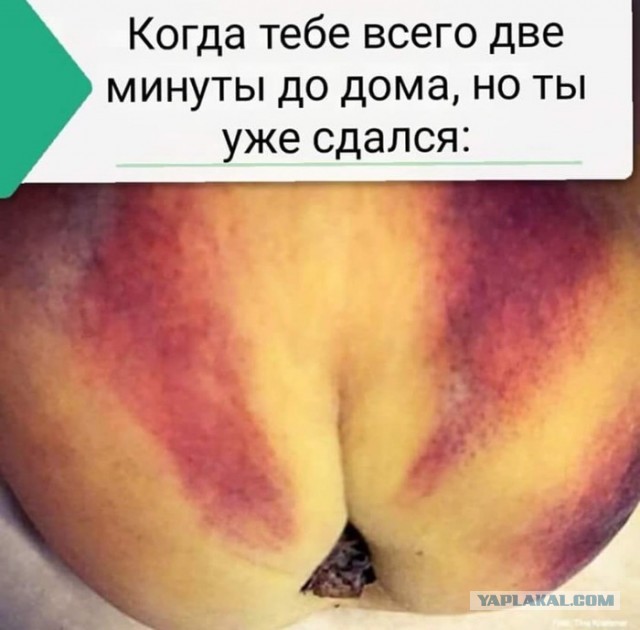 "О школьнице, захотевшей в туалет"