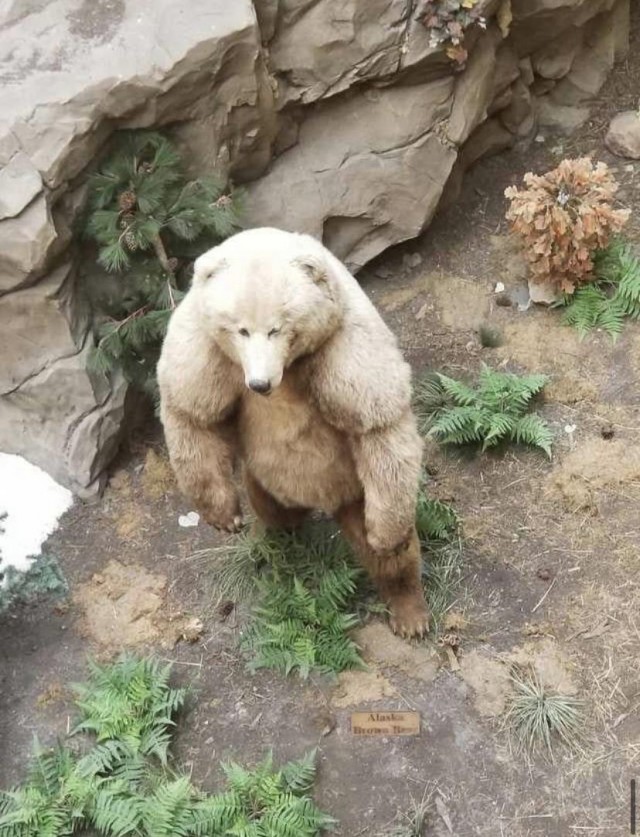 Картинки на выходные