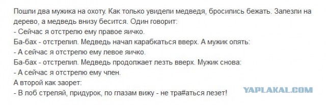 Забавные комментарии из социальных сетей 01.02.21