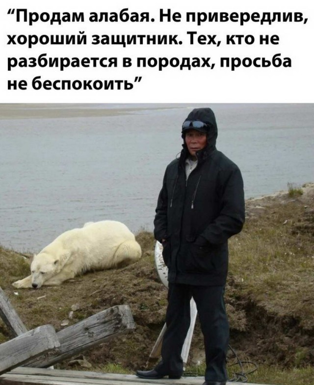 Картинки разные нужны, картинки всякие важны