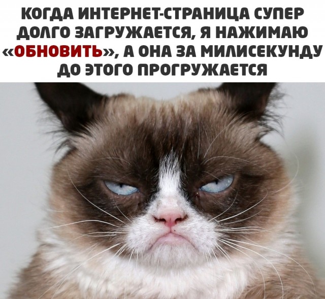 Кретинизмы из ЛМ и ЛЩ 21.02.21