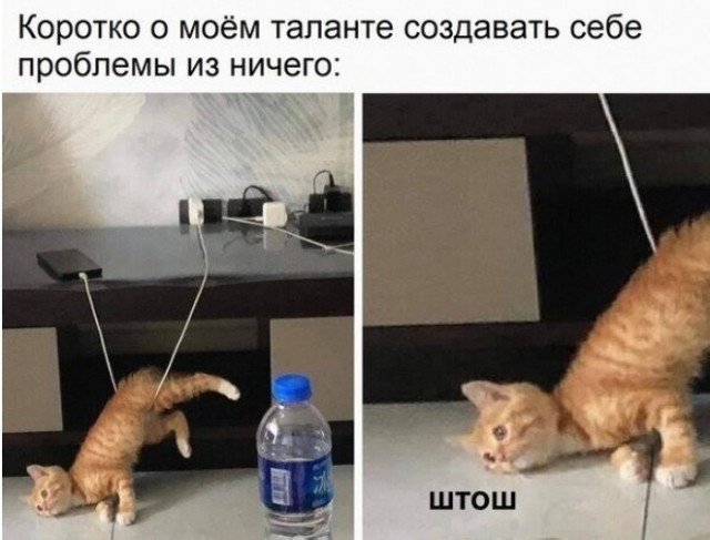 Фотки и картинки: юморные и красивые, забавные и милые 12.04.21