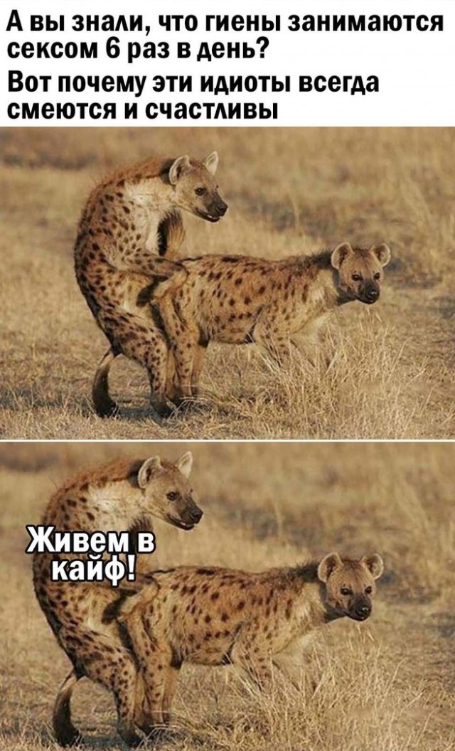 Так себе картинки 27.11.21