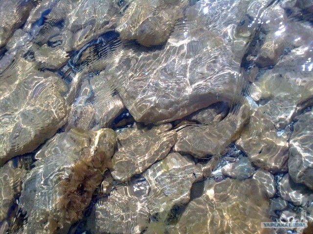 Черное море