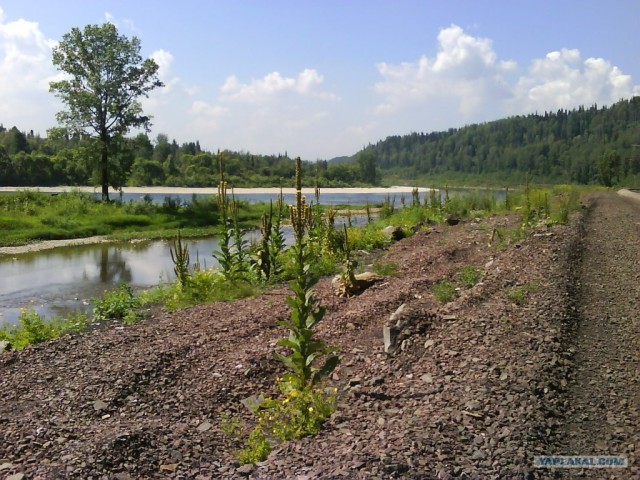 Междуреченск