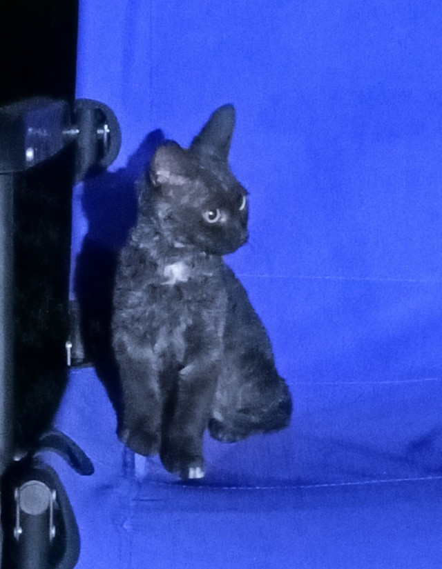 КотоФторник 23.08.22