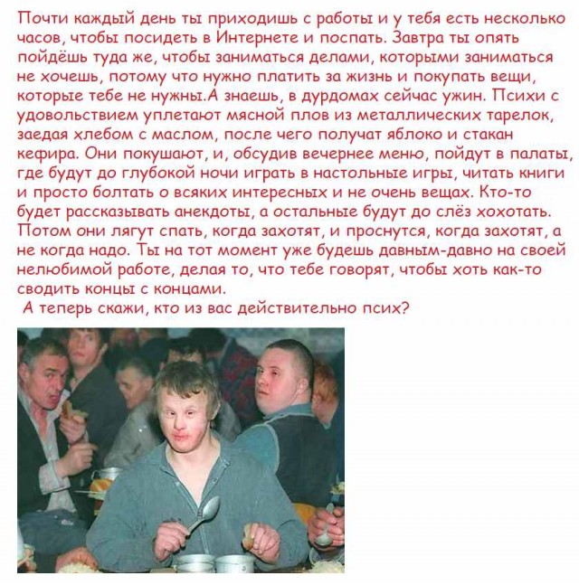 Добро пожаловать в дурдом, дорогие деграданты