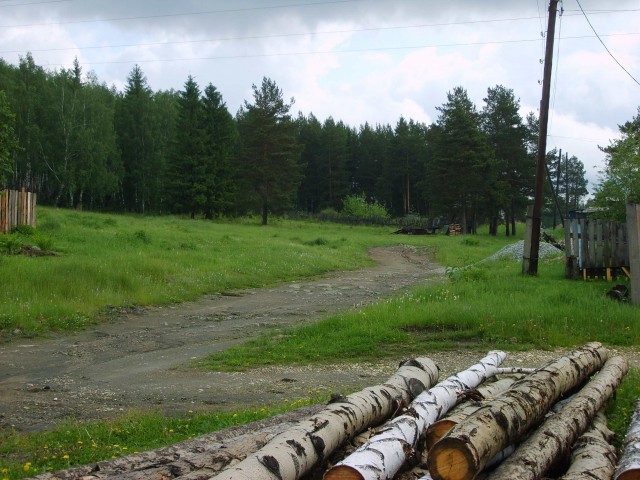 Лесной пейзаж