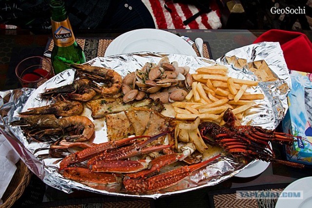 Синайские приключения. Шарм-эш-Шейх и окресности