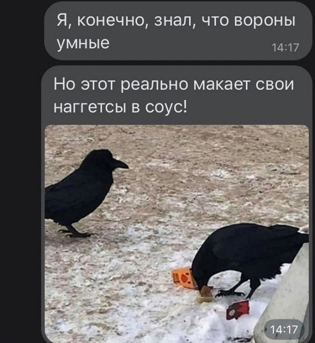 Переписки