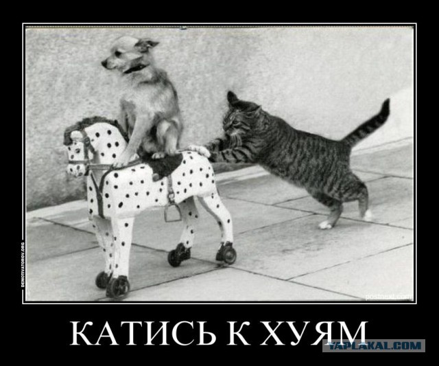 Гоша вчера ушёл на радугу!
