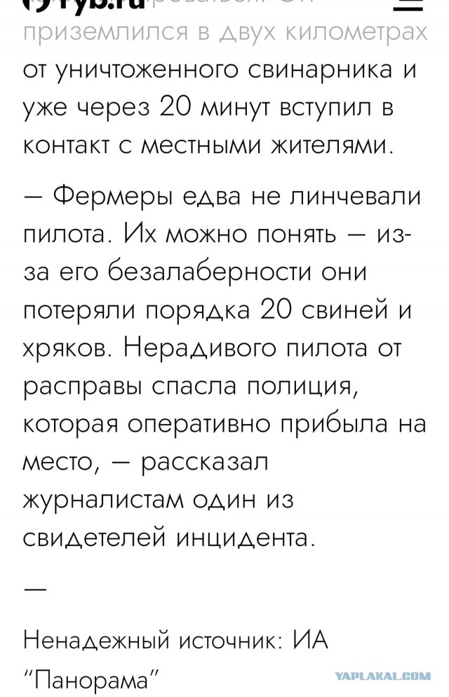 Румынские фермеры чуть не линчевали украинского пилота, самолёт которого уничтожил свинарник