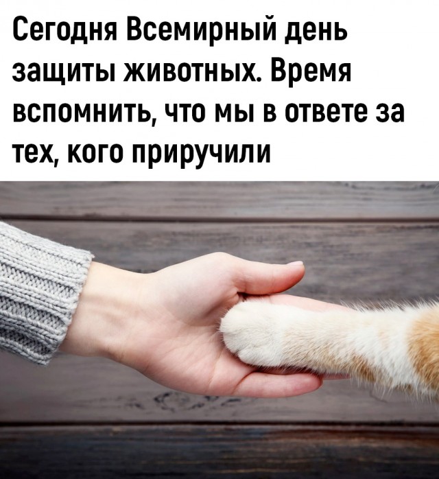Недопятница 4.10.23