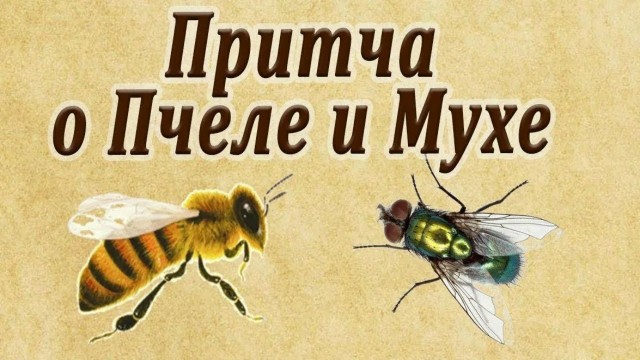 Ну а что, уютненько даже