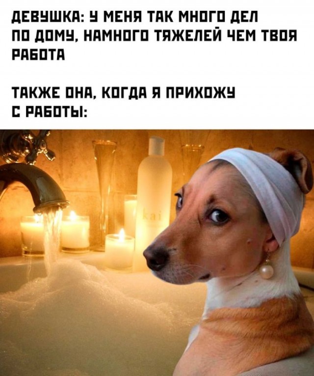 Веселые картинки к пятнице (27.09)