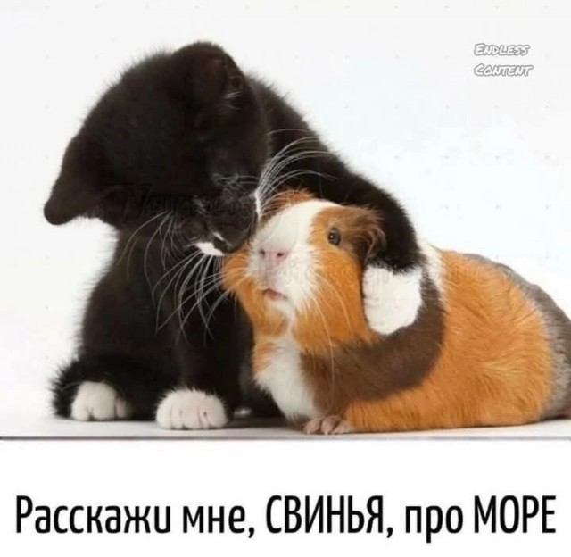 Так себе картинки 31.12.24