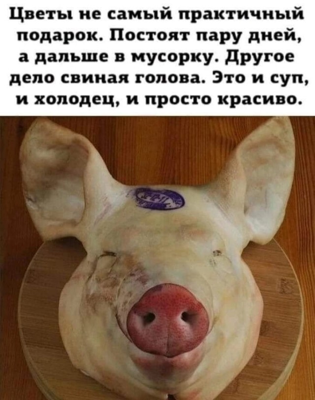 А давайте подарками хвастаться?