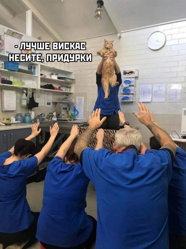 Да отвали ты уже