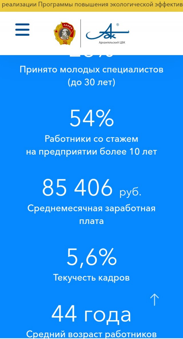 Из дерева в тетрадку: Как тайга превращается в тонны бумаги и уходит на экспорт
