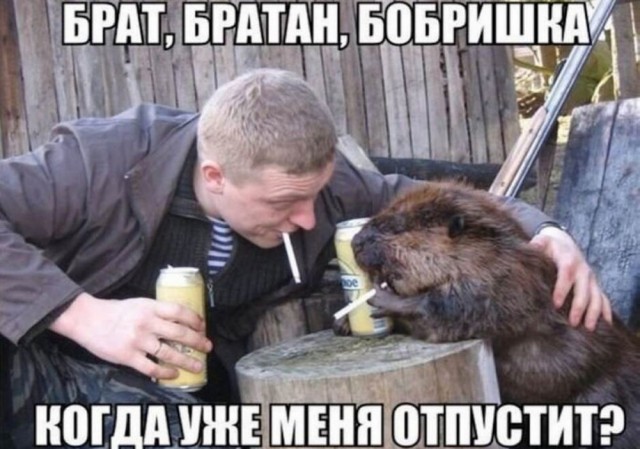 Маленькая пятница 02.07.25