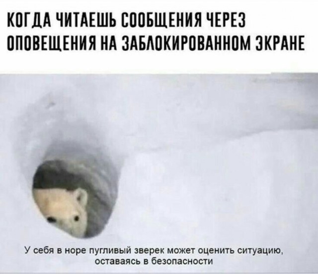 Завалялось тут случайно немного забавных картинок